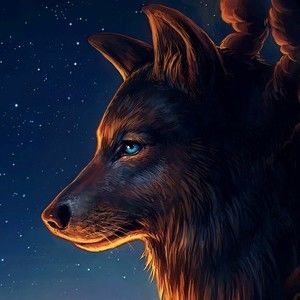 Meet your Posher, Owen